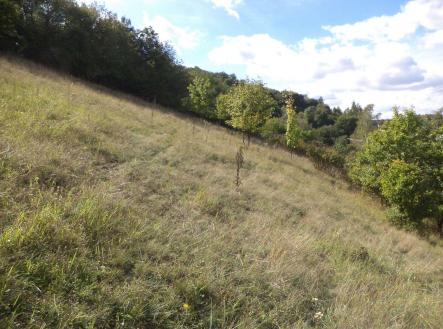 Prodej pozemku, zemědělská půda, 1 711 m²