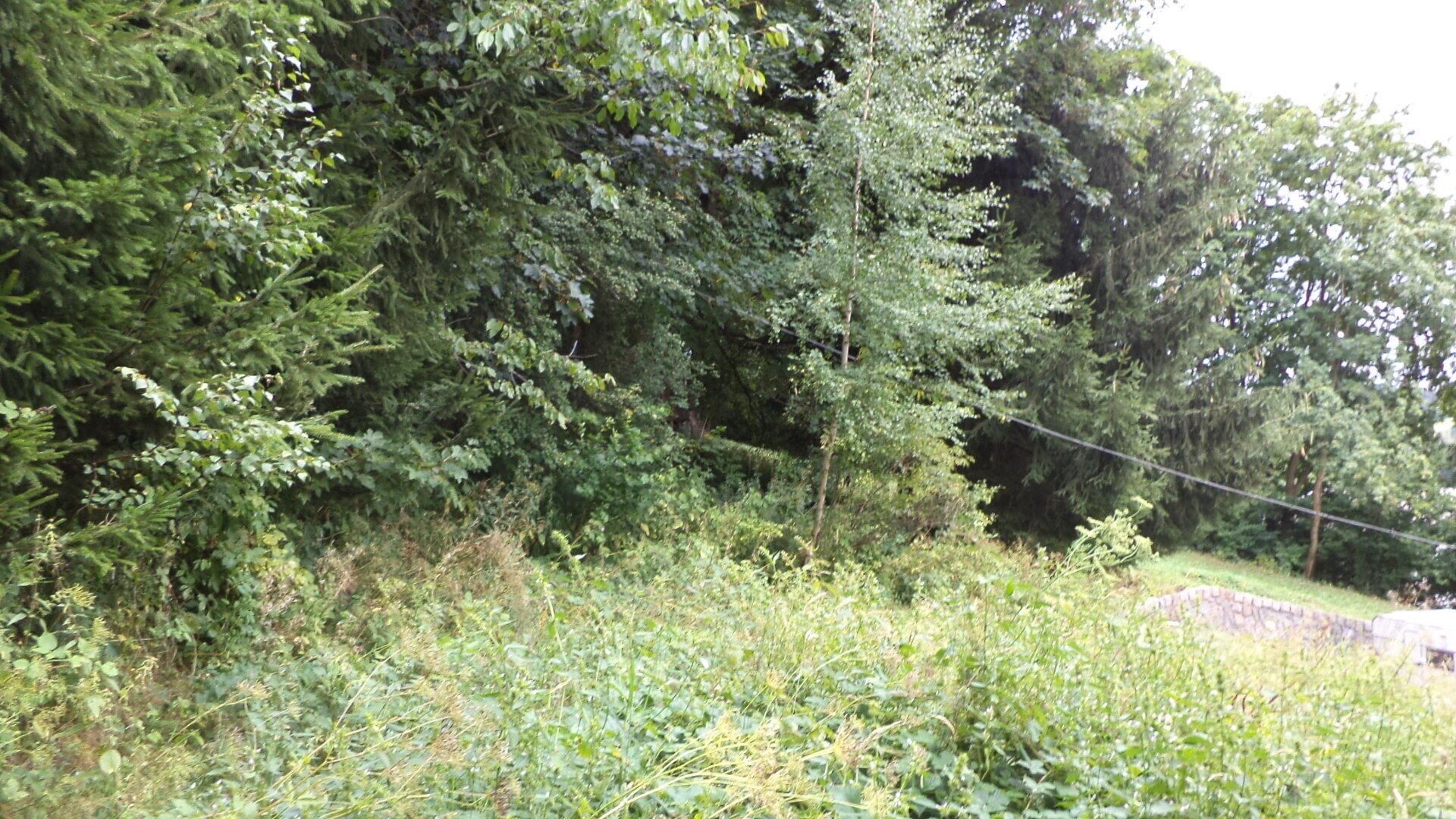 Prodej pozemku Svoboda nad Úpou