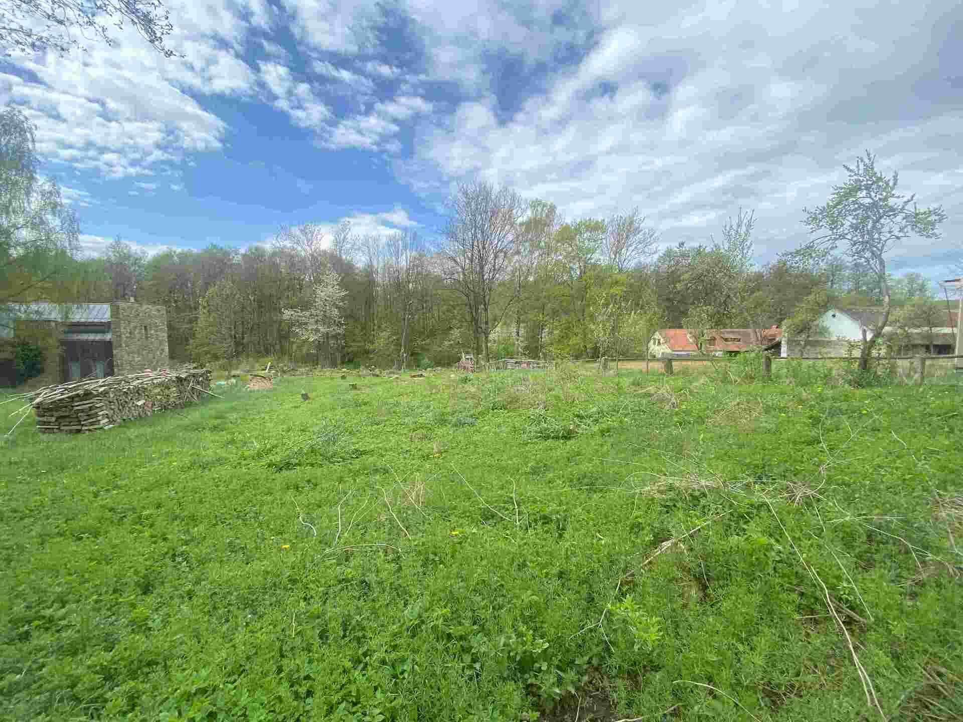 Dražba pozemku Maříž