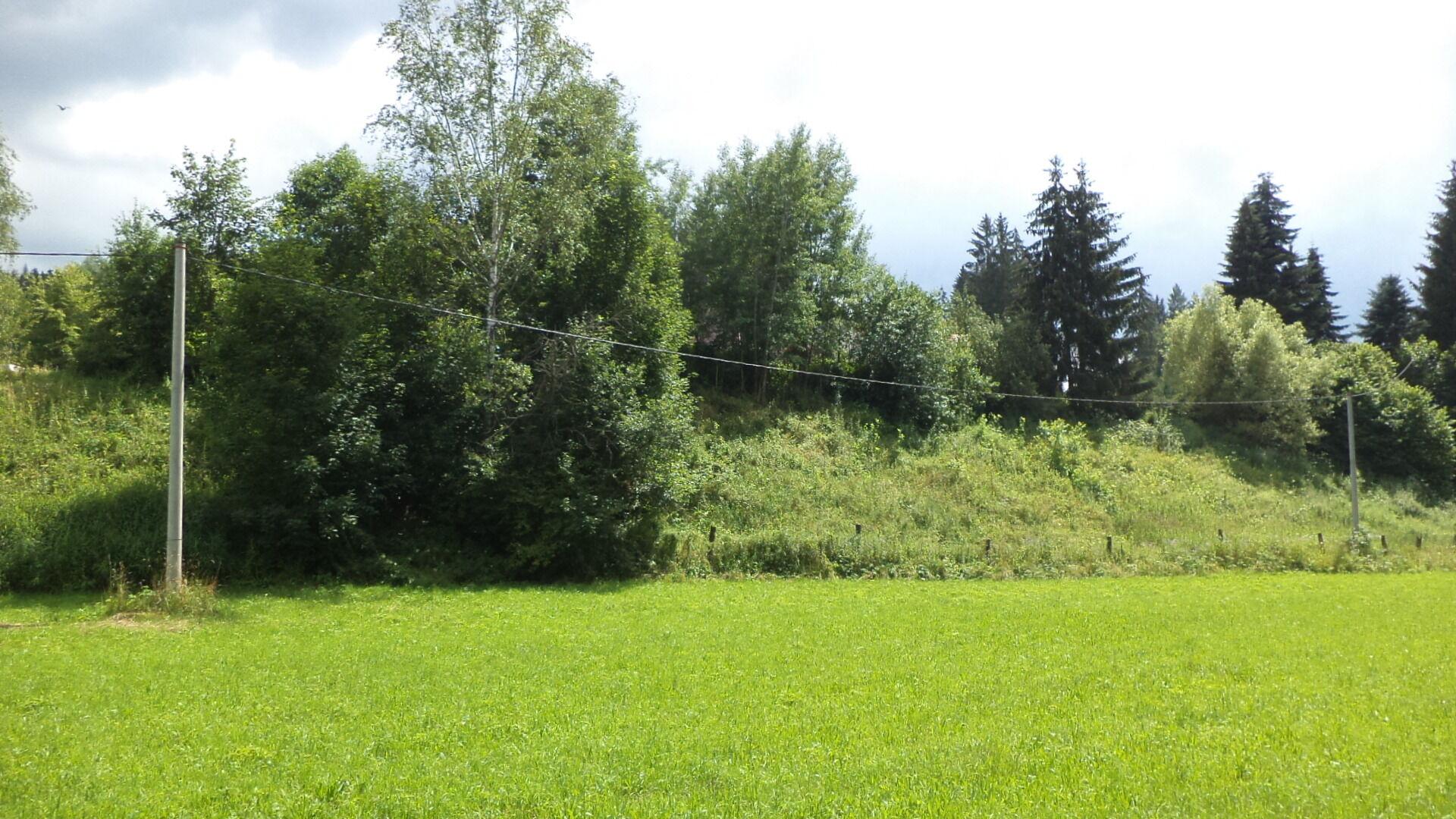 DRAŽBA pozemku Chotěvice