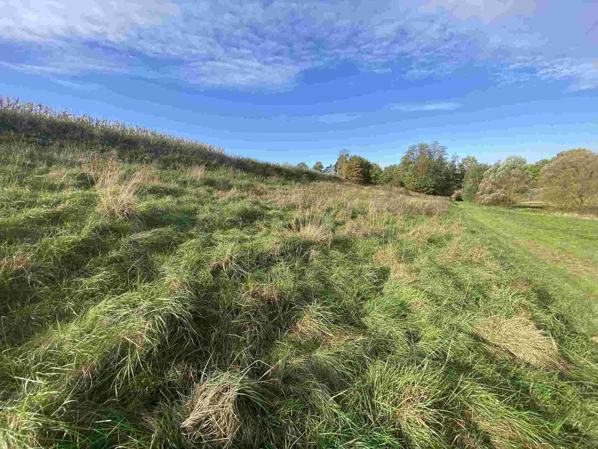 prodej pozemku k.ú. Stadice