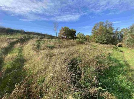 Prodej pozemku, zemědělská půda, 1 263 m²