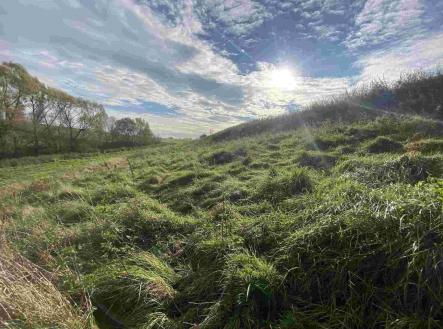 Prodej pozemku, zemědělská půda, 1 263 m²
