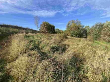 Prodej pozemku, zemědělská půda, 1 263 m²