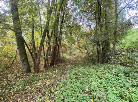 Prodej pozemku, ostatní, 1 003 m²