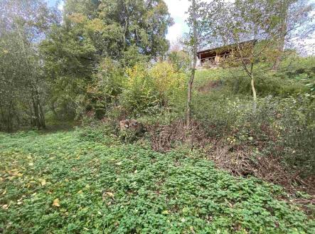 Prodej pozemku, ostatní, 1 003 m²