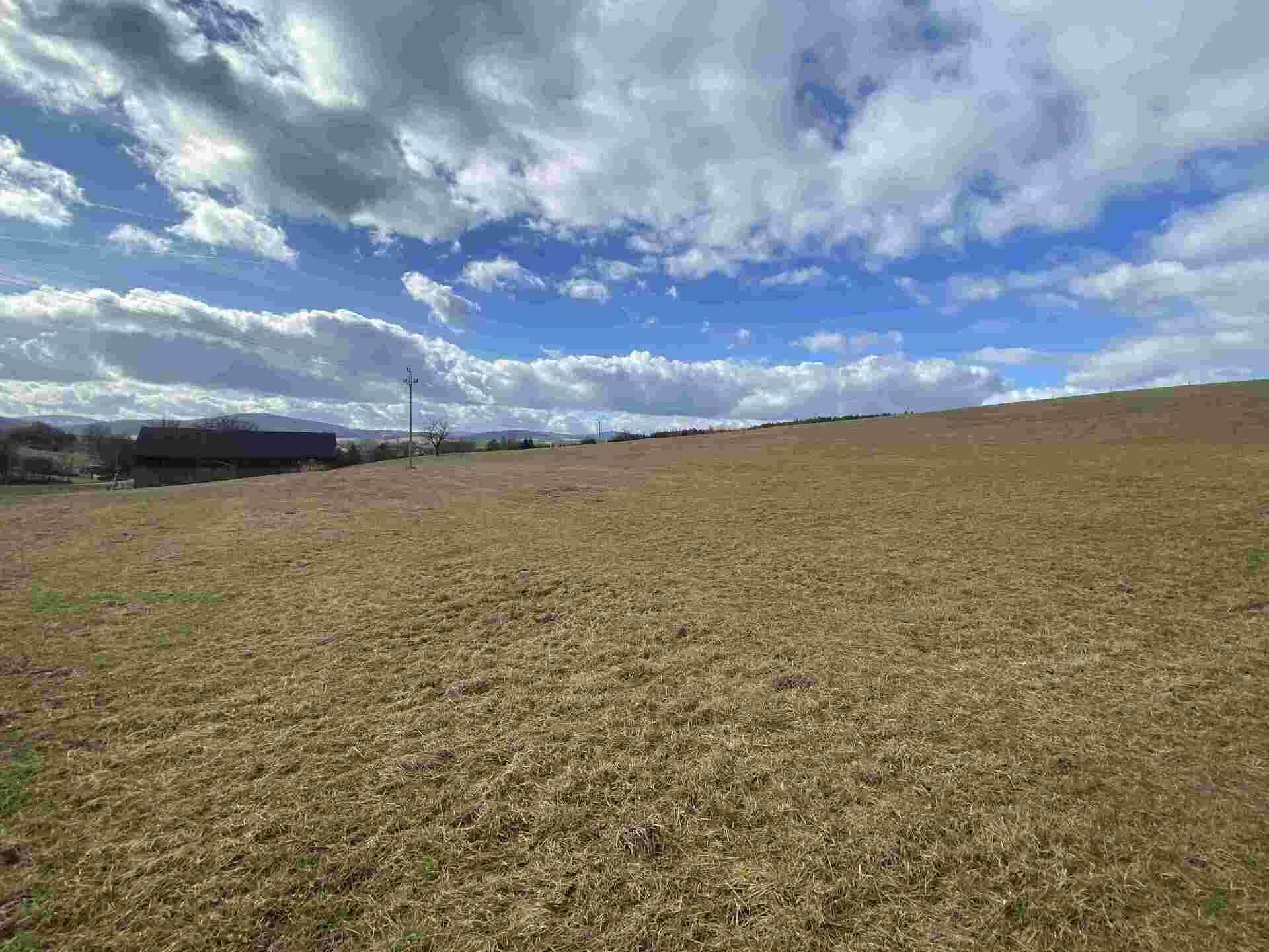 prodej pozemků Čečín