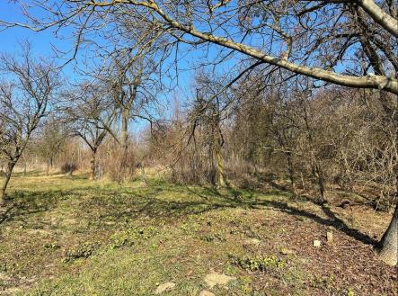 Prodej pozemku pro bydlení, 1 821 m²