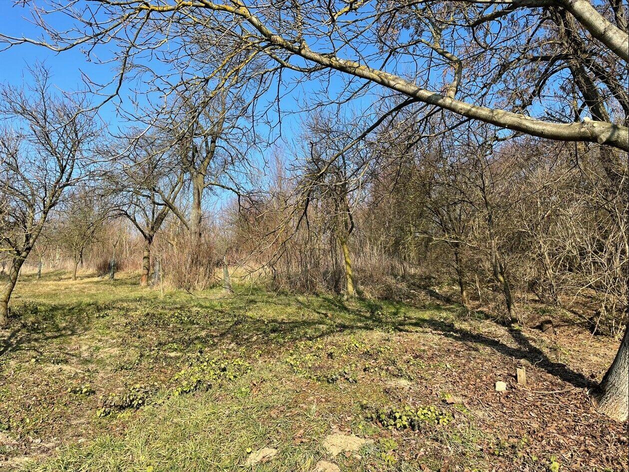 Prodej pozemku Jestřabice