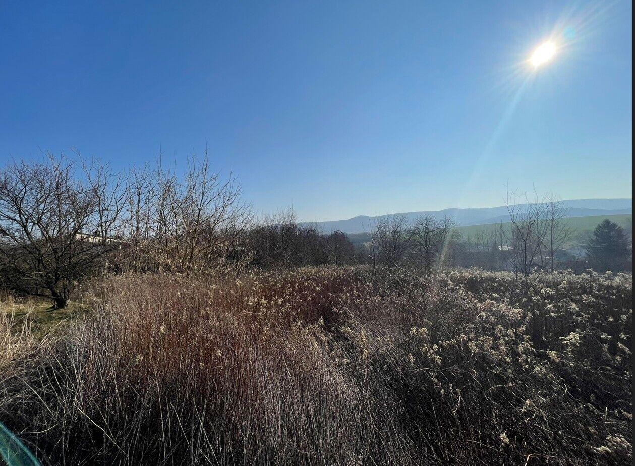 Prodej pozemku Jestřabice
