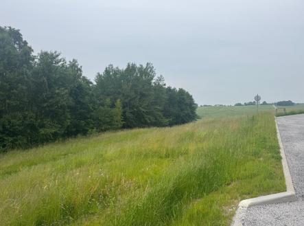 Prodej pozemku pro bydlení, 1 251 m²