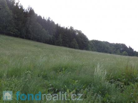 Prodej pozemku, zemědělská půda, 12 576 m²