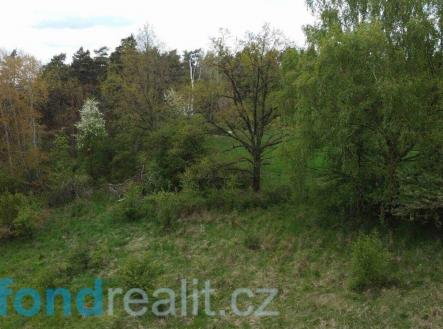 Prodej pozemku, zemědělská půda, 16 180 m²