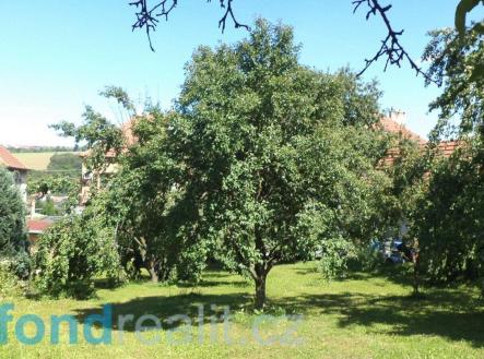 Prodej pozemku, ostatní, 10 906 m²