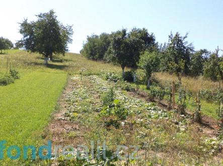 Prodej pozemku, ostatní, 10 906 m²