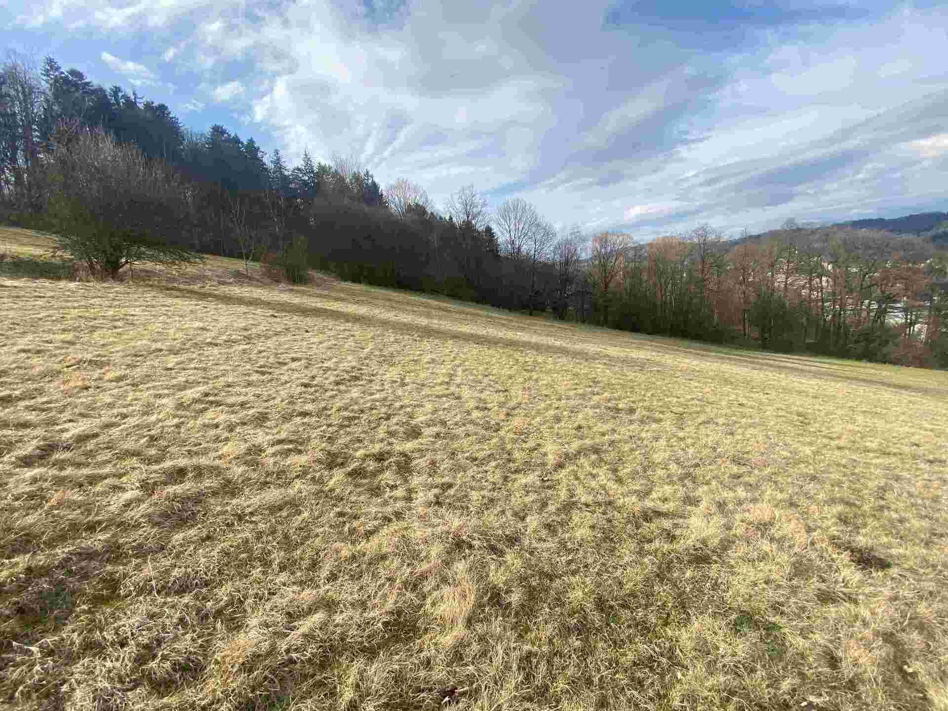 prodej pozemků k.ú. Semily