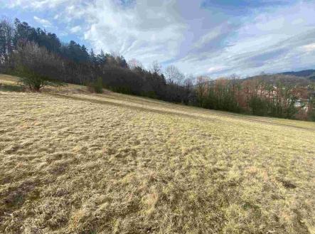 Prodej pozemku, zemědělská půda, 34 107 m²