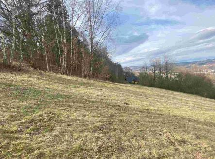 Prodej pozemku, zemědělská půda, 29 899 m²