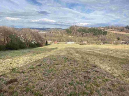 Prodej pozemku, zemědělská půda, 28 783 m²