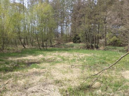 Prodej pozemku, zemědělská půda, 8 388 m²