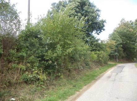 Prodej pozemku, ostatní, 56 m²