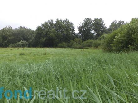 Prodej pozemku, ostatní, 996 m²