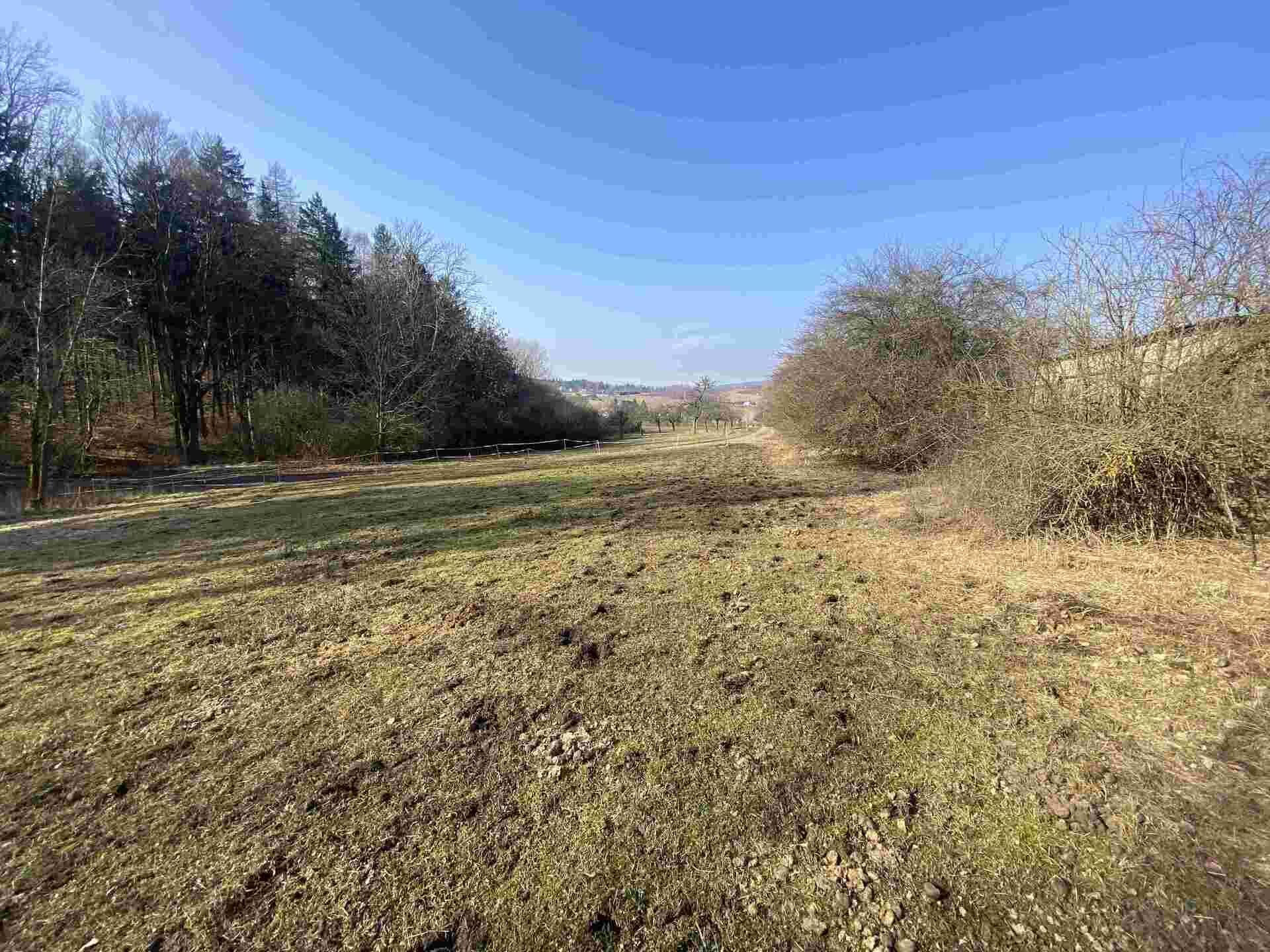 prodej pozemku Syřenov