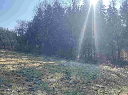 Prodej pozemku, ostatní, 1 443 m²