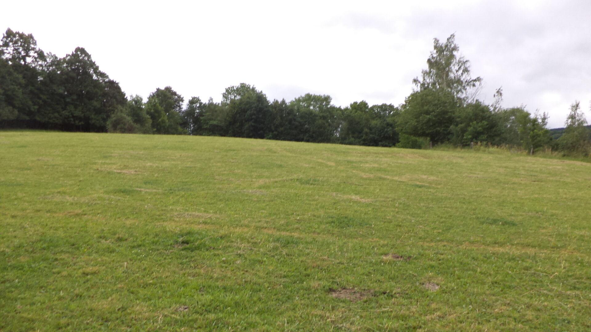 DRAŽBA pozemku Vlčice u Javorníka