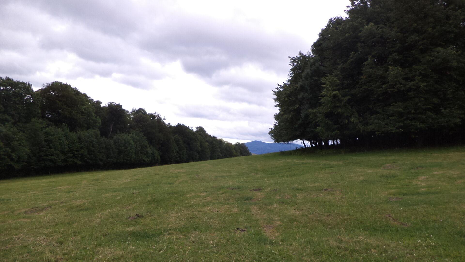 DRAŽBA pozemku Vlčice u Javorníka