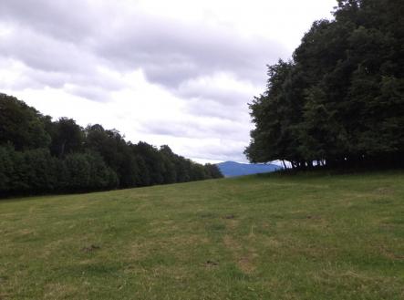 Prodej pozemku, ostatní, 1 566 m²