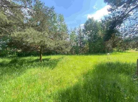 Prodej pozemku, ostatní, 2 300 m²