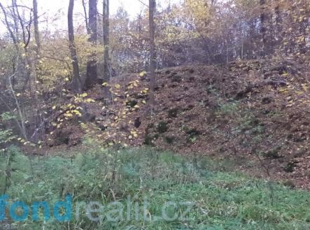 Prodej pozemku, ostatní, 3 946 m²