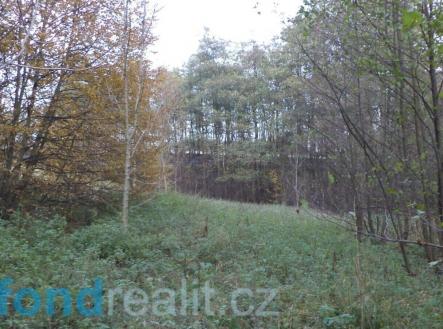 Prodej pozemku, ostatní, 3 946 m²