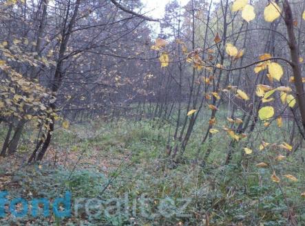 Prodej pozemku, ostatní, 3 946 m²