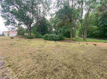 Prodej pozemku, ostatní, 1 993 m²