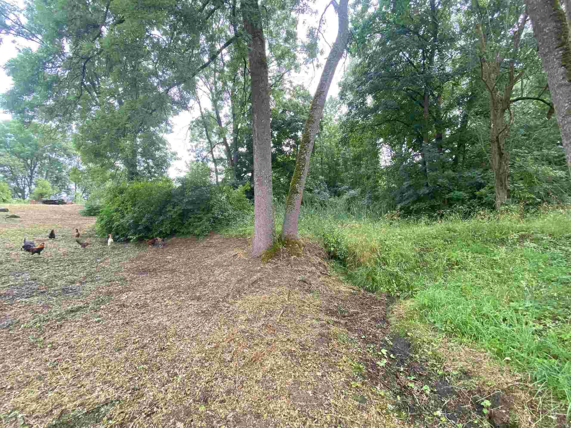 prodej pozemků Rudolec u Březové