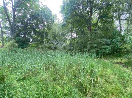 Prodej pozemku, ostatní, 1 993 m²