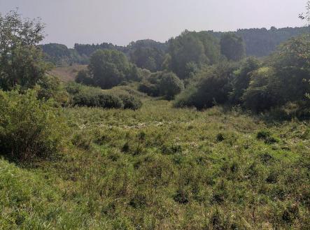 Prodej pozemku, zemědělská půda, 34 244 m²