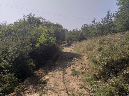 Prodej pozemku, zemědělská půda, 34 244 m²