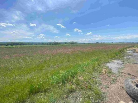 Prodej pozemku, ostatní, 2 873 m²