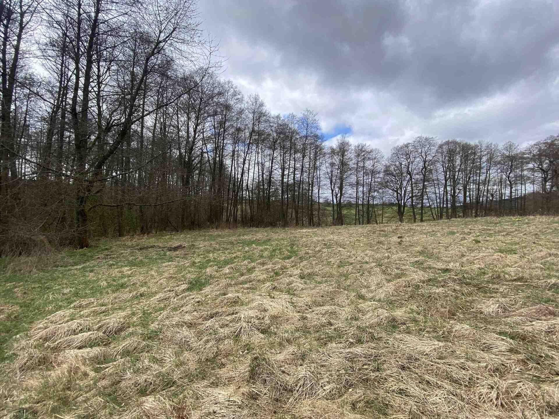 prodej pozemku Lvová