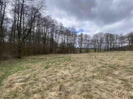 Prodej pozemku, zemědělská půda, 692 m²