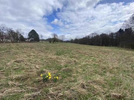 Prodej pozemku, zemědělská půda, 692 m²