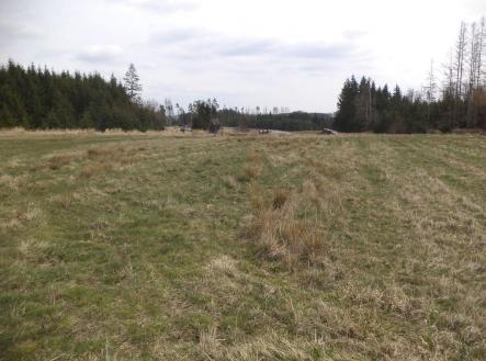 Prodej pozemku, zemědělská půda, 25 464 m²