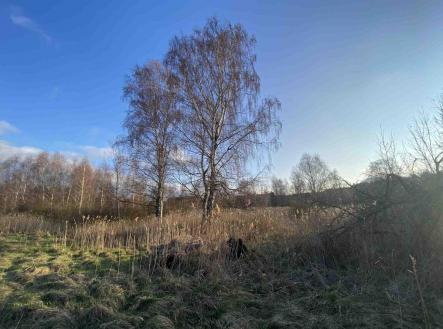 Prodej pozemku, zemědělská půda, 3 314 m²