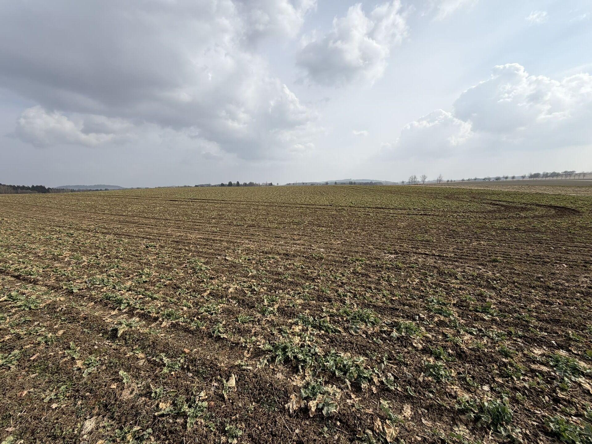 prodej pozemku Kojšovice