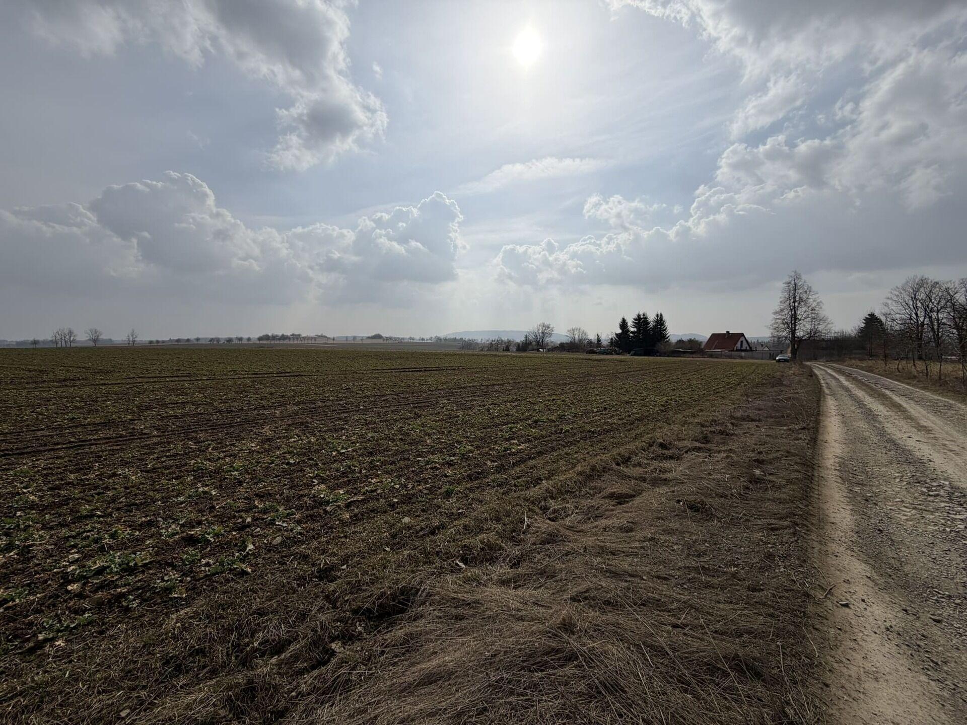 prodej pozemku Kojšovice