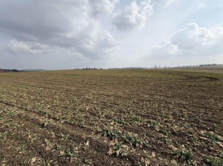 Prodej pozemku, zemědělská půda, 25 962 m²