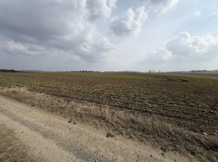 Prodej pozemku, zemědělská půda, 25 962 m²